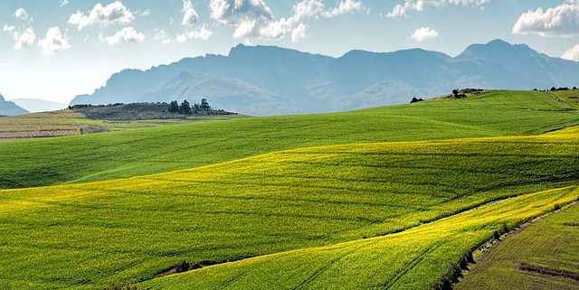 iot agricoltura